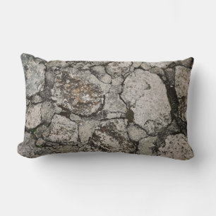 Black and gray stone fragment lumbar cushion