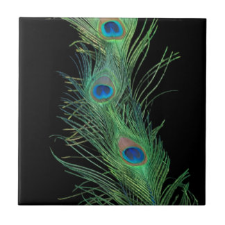 Black and Green Peacock Feathers Tile