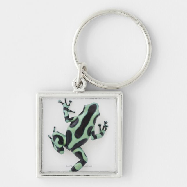 Black and Green Poison Dart Frog 2 Key Ring (Front)