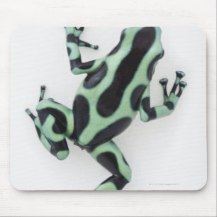 Black and Green Poison Dart Frog 2 Mouse Pad