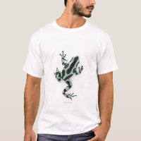 Black and Green Poison Dart Frog 2