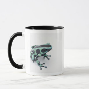 black and green poison dart frog (dendrobates mug