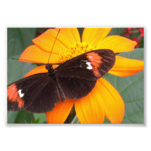 black and orange photo print