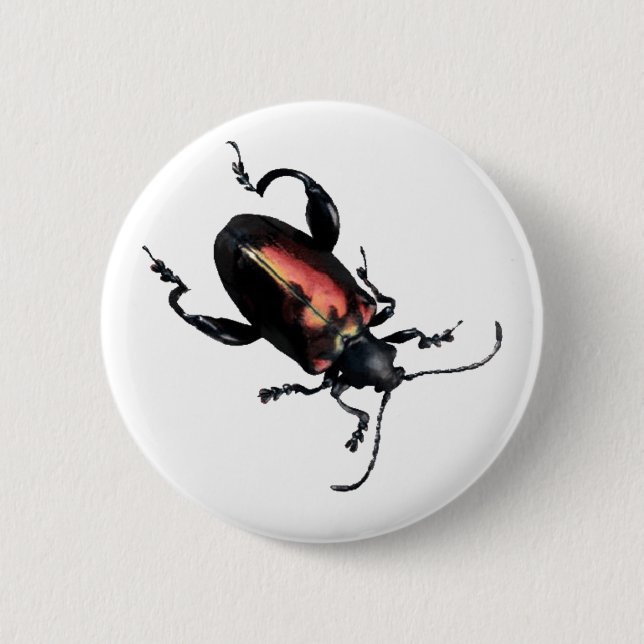 Black and Red Beetle bug 6 Cm Round Badge (Front)