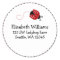 Black and Red Ladybug Round Address Sticker Label