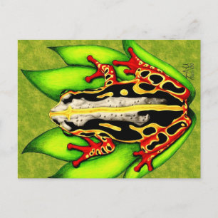 Black and Red Tree Frog Postcard