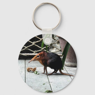 Black and Rufous Elephant Shrew Key Ring