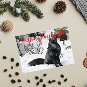 Black and Silver Fox in Snow Photo Holiday Card