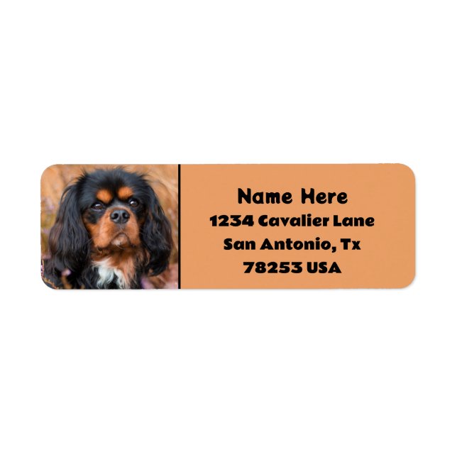Black and Tan Cavalier King Charles Return Address Label (Front)