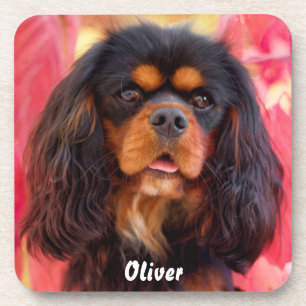 Black and Tan Cavalier King Charles Spaniel Dog Coaster