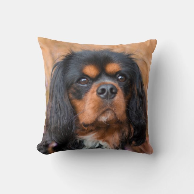 Black and Tan Cavalier King Charles Spaniel Dog Cushion (Front)