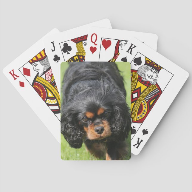Black and Tan Cavalier King Charles Spaniel Dog Playing Cards (Back)