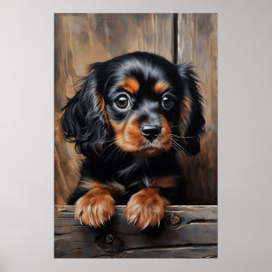 Black and tan Cavalier puppy Poster