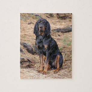 Black and Tan Coonhound Dog Jigsaw Puzzle