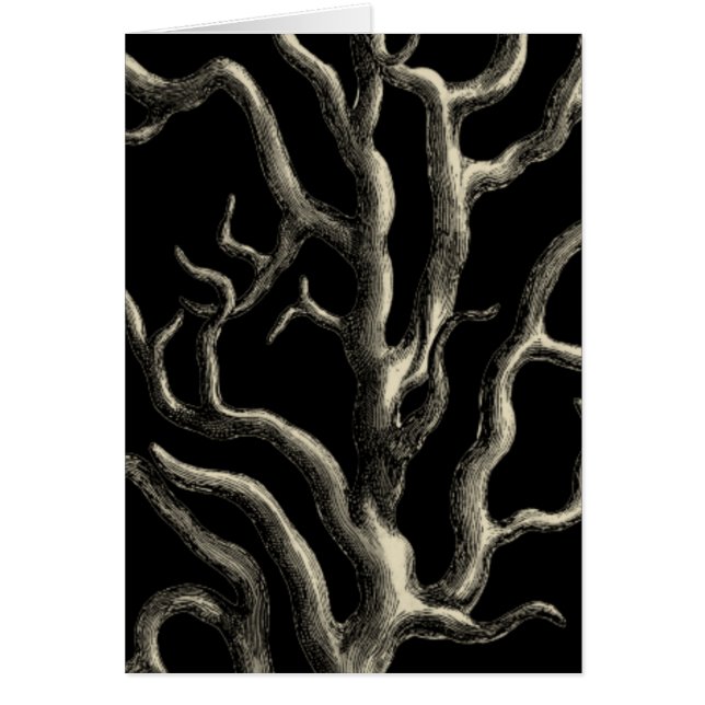 Black and Tan Coral (Front)