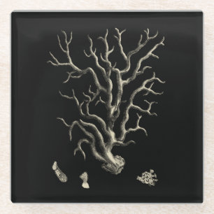 Black and Tan Coral Glass Coaster