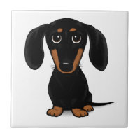 Black and Tan Dachshund Cute Weiner Dog