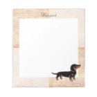 Black and Tan Dachshund Posing