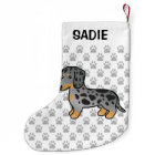 Black And Tan Dapple Smooth Coat Dachshund Dog