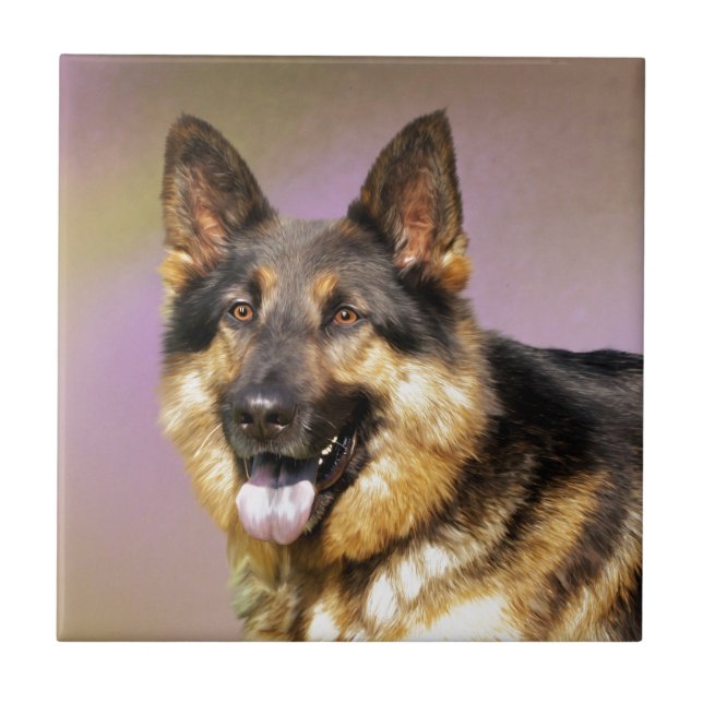 Black and Tan GSD Ceramic Tile (Front)