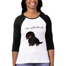 Black and Tan Long Haired Dachshund 3