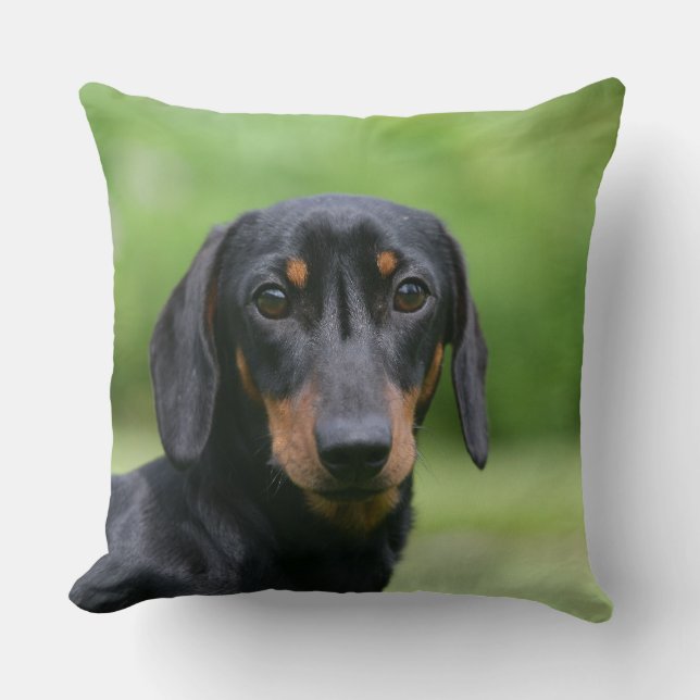 Black and Tan Miniture Dachshund 1 Cushion (Front)