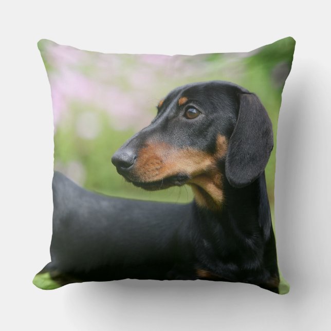 Black and Tan Miniture Dachshund 2 Cushion (Front)