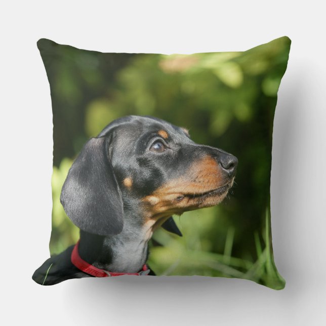 Black and Tan Miniture Dachshund 3 Cushion (Front)