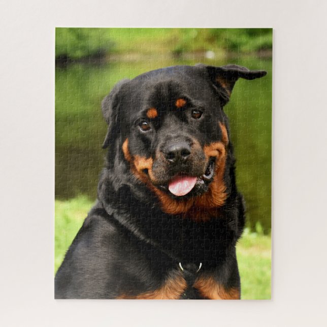 Black and Tan Rottweiler Puppy Dog Jigsaw Puzzle (Vertical)