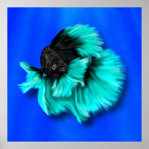 Black and Teal Betta Fish Poster