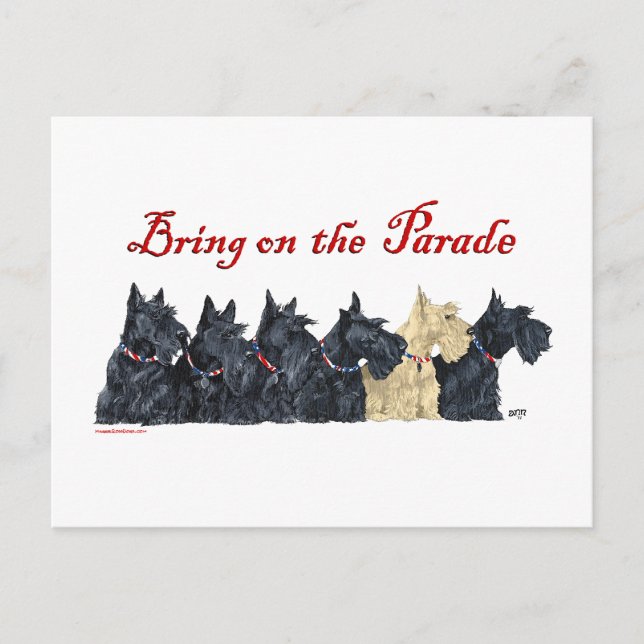 Black and Wheaten Scottish Terriers Postcard (Front)