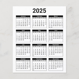 Black and White 2025 Year At A Glance Calendar Flyer
