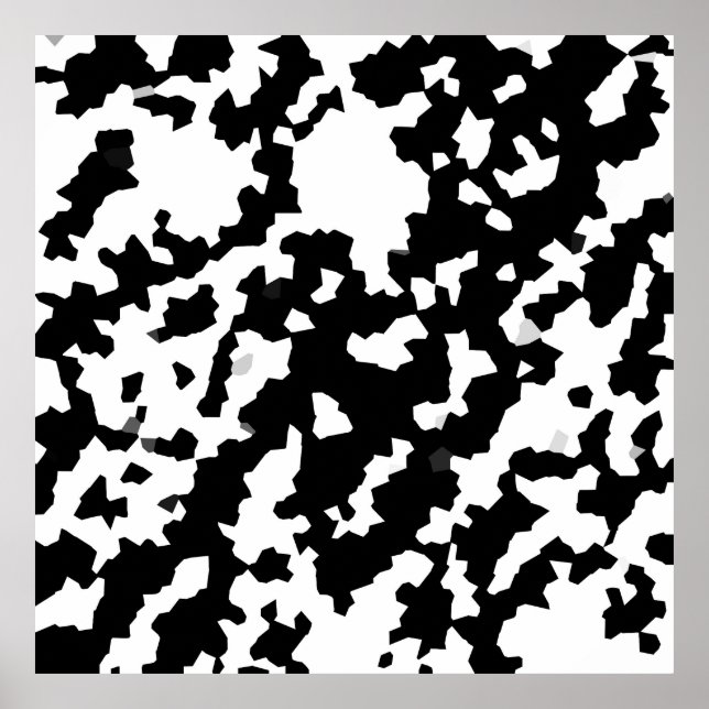 Black And White Abstract Camouflage Download And Poster (Front)