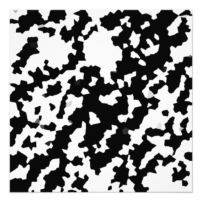 Black And White Abstract Camouflage Pattern Photo Print (Front)