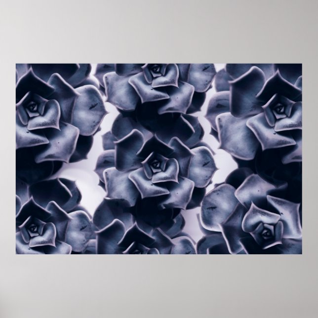 BLACK AND WHITE ABSTRACT FLOWERS PAINTING POSTER (Front)