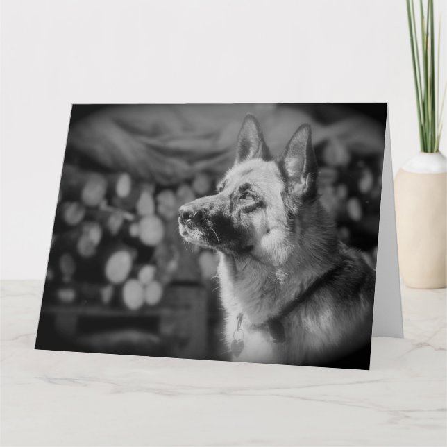 Black and White Alsatian Dog Photo Card (Front)