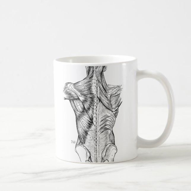 Black and White Anatomy Art Back Muscles (1890) Coffee Mug (Right)