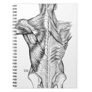 Black and White Anatomy Art Back Muscles (1890) Notebook