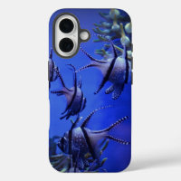 Black and White Angelfish in Deep Blue Sea