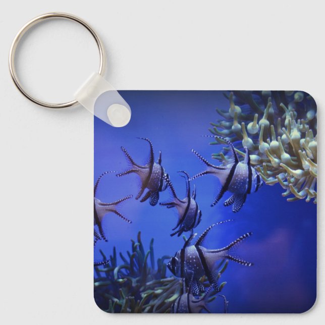 Black and White Angelfish in Deep Blue Sea Key Ring (Front)