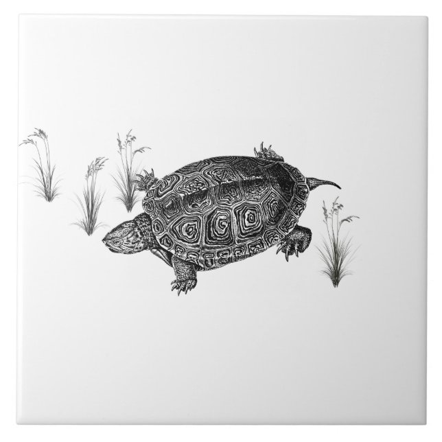 Black and White Aquatic Turtle Ceramic Tile (Front)