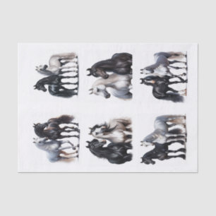 Black and White Arabian Horse Pairs Tissue Paper