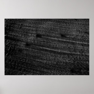Black and white area rug poster