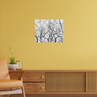 Black and White Art Bare Willow Trees Poster