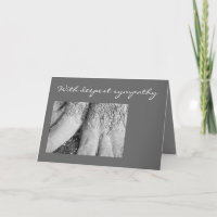 Black and White Art Photo Condolence Card
