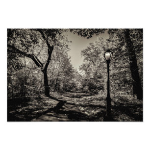 Black and White Autumn Central Park view Photo Print
