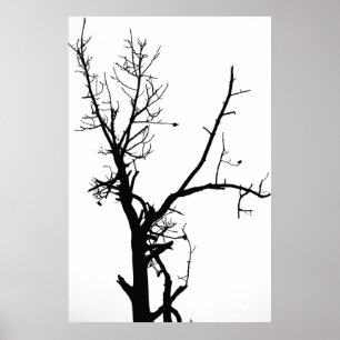 Black and White Bare Tree Poster
