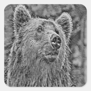 Black and white bear close up square sticker