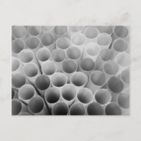 Black and White Bendy Straws