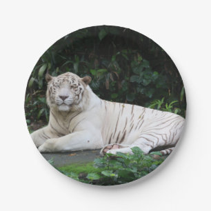 Black and White Bengal Tiger relaxed and smiling Paper Plate